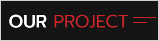 Our Project